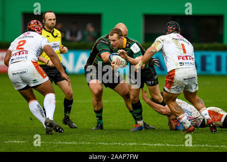 Treviso, Italie. 23 Nov, 2019. Rory Hutchinson (northampton) lors de Benetton Treviso vs Northampton Saints, Rugby Heineken Cup Champions à Trévise, en Italie, le 23 novembre 2019 : Crédit Photo Agency indépendante/Alamy Live News Banque D'Images