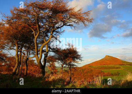 Les arbres d'automne Roseberry Topping cadrage, Parc National des North Yorkshire Moors, England, UK Banque D'Images