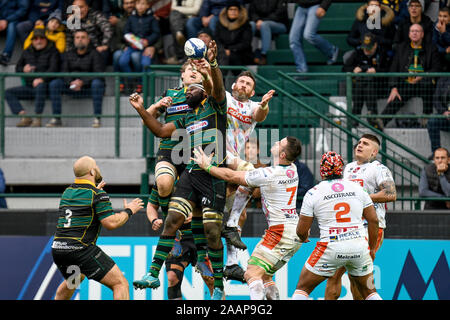 Treviso, Italie. 23 Nov, 2019. recupero northampton saintsduring Benetton Treviso vs Northampton Saints, Rugby Heineken Cup Champions à Trévise, en Italie, le 23 novembre 2019 - LPS/crédit : Ettore Ettore Griffoni Griffoni/LPS/ZUMA/Alamy Fil Live News Banque D'Images