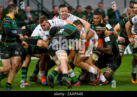 Treviso, Italie. 23 Nov, 2019 trevisoduring. maul BENETTON BENETTON Treviso vs Northampton Saints, Rugby Heineken Cup Champions à Trévise, en Italie, le 23 novembre 2019 - LPS/crédit : Ettore Ettore Griffoni Griffoni/LPS/ZUMA/Alamy Fil Live News Banque D'Images