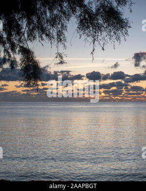 Un beau lever de soleil derrière les nuages avec le soleil tout casser sur l'horizon et encadré par un arbre à Cala Bona Majorque. Banque D'Images