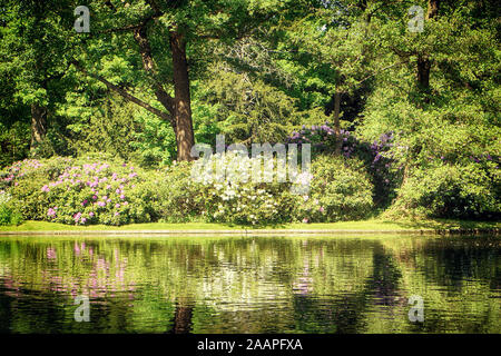 Jardins de Frederiksberg, Copenhague : parc paysage romantique dans un style Anglais au coeur de la ville Banque D'Images