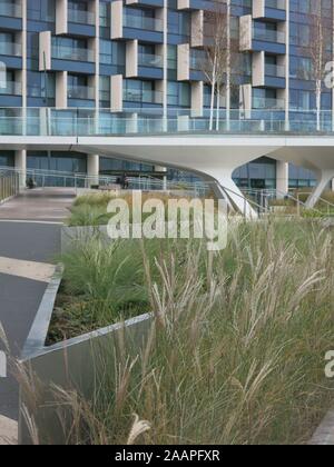 La nouvelle collectivité de la région de Riverside offre waterside vivant dans des appartements modernes avec une passerelle surélevée linéaire, l'aménagement paysager et la plantation. Banque D'Images