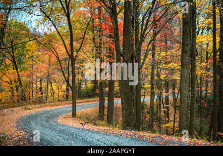 Route de campagne de la Forêt d'automne en automne dans les montagnes Blue Ridge. Blowing Rock Caroline du Nord. Route de gravier autour de la courbe à travers le feuillage d'automne de pointe. Banque D'Images