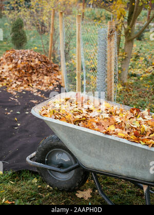 Cage à feuilles avec revêtement de sol biodégradable rempli de feuilles pour faire la moisissure des feuilles.