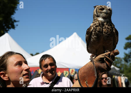 falconer femelle portant un gant tenant une chouette, Chauvigny, France. Banque D'Images
