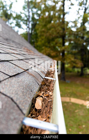 Quitter et remplissage paille pin gouttières sur accueil Banque D'Images