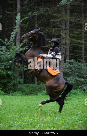 Cowgirl en robe vintage assis sur un cheval d'élevage Banque D'Images