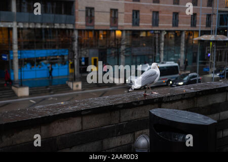 Oslo, Norvège, le 23 novembre 2019 : Photos de la gare centrale d'Oslo Banque D'Images