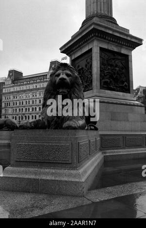 Image en noir et blanc de Trafalgar Square, City Of Westminster, London, England, UK Banque D'Images