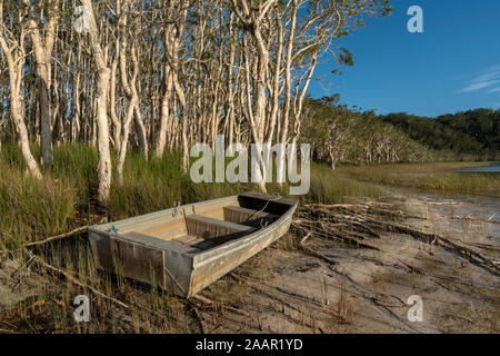 Tinny abandonnés , canot, Myall Lake EN IN Banque D'Images