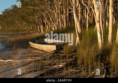 Tinny abandonnés , canot, Myall Lake EN IN Banque D'Images