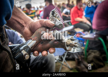 Outils de la tonte des moutons, le grand show du Yorkshire, Harrogate, Yorkshire, UK Banque D'Images