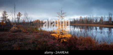 Magnifique coucher de soleil aube panorama de paysage du lac dans le nord de la forêt, haute résolution pour l'impression. Banque D'Images