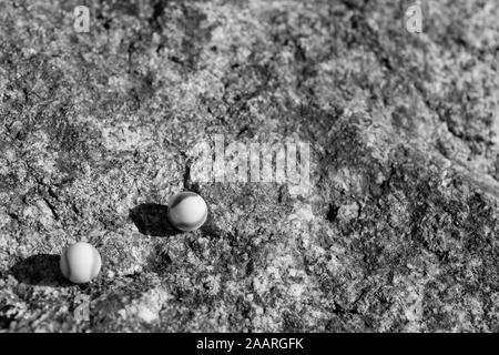 Billes de verre noir et blanc sur une surface en pierre rugueuse. Pour quelque chose perdu, santé mentale, perdre vos billes, sphères abstraites, rêves, Biden et billes. Banque D'Images