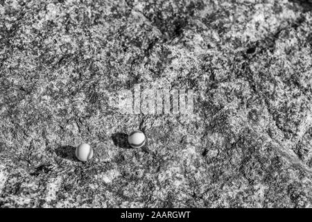 Billes de verre noir et blanc sur une surface en pierre rugueuse. Pour quelque chose perdu, santé mentale, perdre vos billes, sphères abstraites, rêves, Biden et billes. Banque D'Images