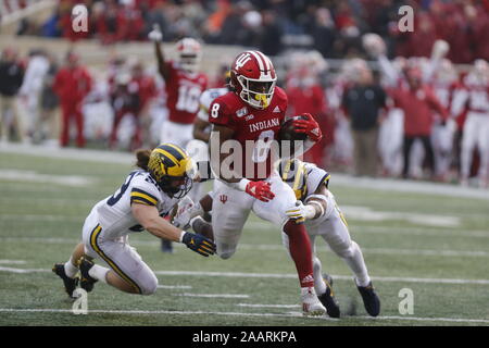 Bloomington, Indiana, USA. 23 Nov, 2019. Indiana's Stevie Scott III (8) porte la balle contre l'Université du Michigan pendant un match de football NCAA college au Memorial Stadium à Bloomington, Indiana, USA. Le score à la mi-temps a été Michigan 20 et UI 14. Crédit : Jeremy Hogan/Alamy Live News. Banque D'Images