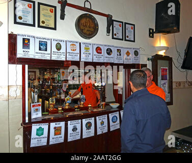 Appleton Thorn Village Hall Beer Festival, ,Warrington, Cheshire, Angleterre, WA4 4RT - bar avec bières multiples Banque D'Images