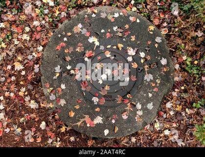 Atlanta, Georgia, USA. 23 Nov, 2019. Couleurs d'automne dans une banlieue d'Atlanta après un orage. Crédit : Brian Cahn/ZUMA/Alamy Fil Live News Banque D'Images