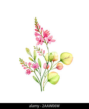 Aquarelle fleurs freesia rouge transparent et branche d'eucalyptus. Bouquet tropical coloré isolé sur blanc. Pour illustration floral botanique Banque D'Images