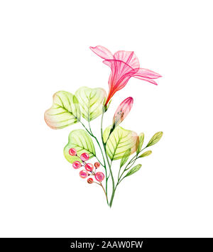 Transparent aquarelle fleurs d'hibiscus, d'eucalyptus et de baies. Bouquet tropical coloré isolé sur blanc. Pour illustration floral botanique Banque D'Images
