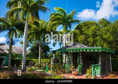 Vue sur les palmiers du jardin botanique en croissant contre ciel à Saint-Christophe et Niévès, Caraïbes Banque D'Images