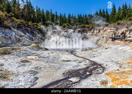 Hell's Gate, Parc géothermique, Tikitere, Rotorua, île du Nord, Nouvelle-Zélande Banque D'Images