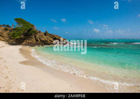 Vue panoramique de la plage de sable blanc à Tobago Cays, Saint Vincent et les Grenadines, Antilles Banque D'Images