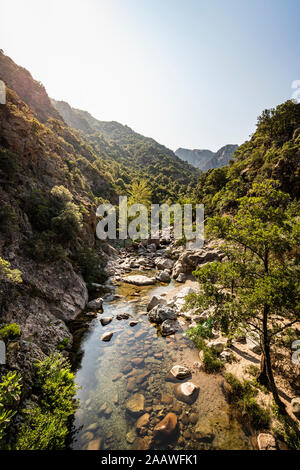 Ruisseau de Aïtone, gorges de Spelunca, Ota, Corse, France Banque D'Images