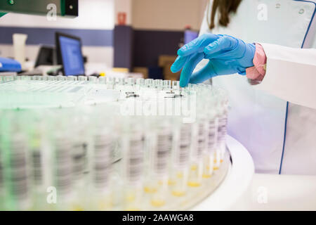 Close up of gloved hand picking up test tube rack de Banque D'Images