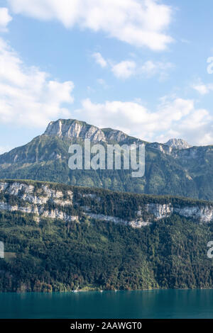 La Suisse, Lucerne, Schwyz, vue panoramique sur la haute falaise boisée en été Banque D'Images