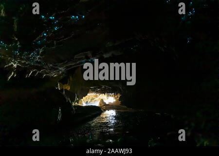 Low angle view of illuminated Arachnocampa luminosa dans la caverne à Waipu, Océanie, Nouvelle Zélande Banque D'Images