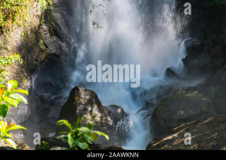 Vue de Trafalgar Falls éclaboussures sur les rochers dans le parc national de Morne Trois Pitons, Dominique Banque D'Images