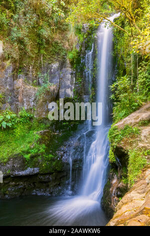 Lower Falls, Kaiate Falls, Bay of Plenty, île du Nord, Nouvelle-Zélande Banque D'Images