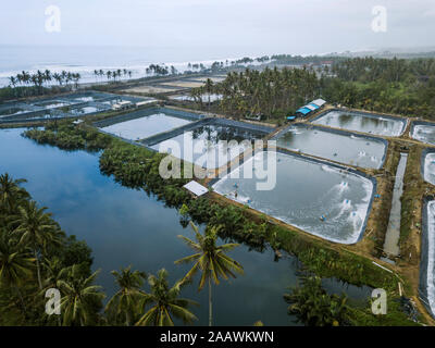 Vue aérienne de la ferme crevettière, Bali, Indonésie Banque D'Images