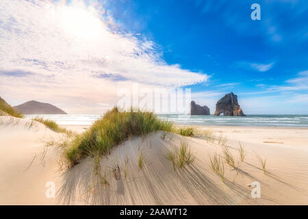 Nouvelle Zélande, île du sud, vue panoramique de Wharariki Beach Banque D'Images