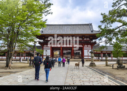 Nara, Japon - Apr 10, 2019. Personnes visitent le Temple Todaiji à Nara, au Japon. Temple Todai-ji de Nara est l'attraction touristique la plus populaire et un patrimoine de l'UNESCO s'asseoir Banque D'Images