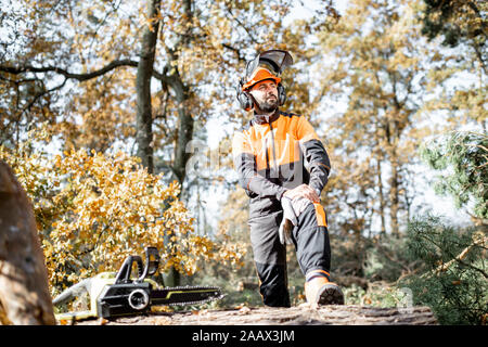 Portrait d'un professionnel de confiance dans l'exploitation forestière bûcheron vêtements de protection dans la forêt de pins Banque D'Images