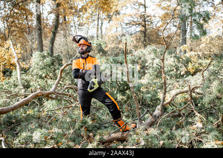 Portrait d'un marchand de vêtements de protection professionnelle dans l'exploitation forestière avec tronçonneuse dans la forêt de pins Banque D'Images