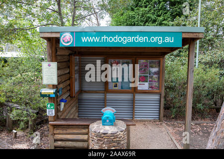 Blue Mountains Blackheath nouveau Campbells Rhododendron jardin en été, Australie Banque D'Images