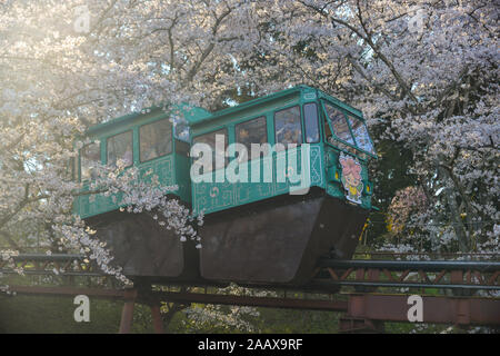 Fukushima, Japon - Apr 12, 2019. Fleur de cerisier avec piste de voiture de pente à Funaoka Parc du Château de Fukushima, au Japon. Banque D'Images