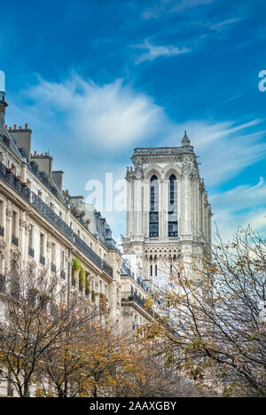 Vue de la cathédrale Notre Dame en reconstruction, Paris, France Banque D'Images
