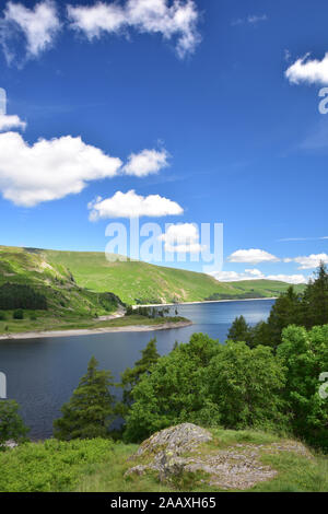 Extrémité sud de Haweswater en été, Cumbria Banque D'Images