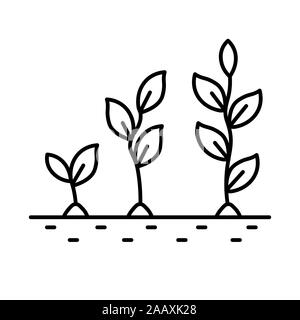 Étapes de la croissance des plantes, de sprout en fleur, l'icône de la ligne isolée Illustration de Vecteur