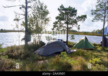 Camp touristique dans le marais, les tentes de camping dans les zones humides Banque D'Images