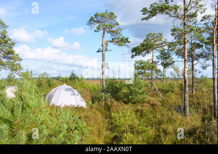 Camp touristique dans le marais, les tentes de camping dans les zones humides Banque D'Images