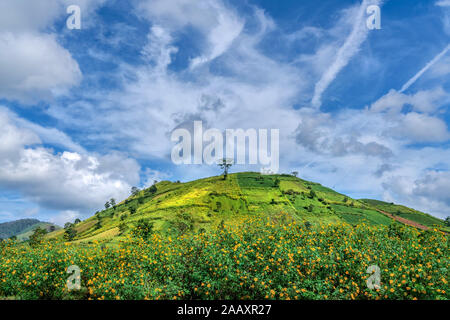 Vue aérienne de la montagne du volcan Chu Dang Ya avec la fleur de Da Quy ou la fleur de Tithonia diversifolia près de la ville de Pleiku, province de Gia Lai, Vietnam. Chu DangYa Banque D'Images