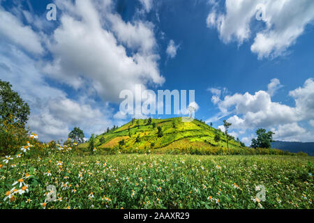 Vue aérienne de la montagne du volcan Chu Dang Ya avec la fleur de Da Quy ou la fleur de Tithonia diversifolia près de la ville de Pleiku, province de Gia Lai, Vietnam. Chu DangYa Banque D'Images