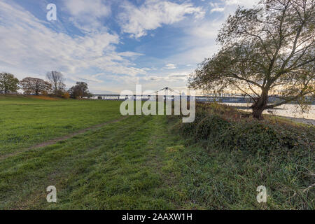 -Voir à Krefeld-Uerdingen meadows au Rhin Waterside, Rhénanie du Nord-Westphalie, Allemagne, 23.11.2019 Banque D'Images