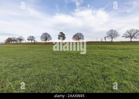 -Voir de Krefeld-Uerdingen waterside à meadows à Rhin Waterside, Rhénanie du Nord-Westphalie, Allemagne, 23.11.2019 Banque D'Images